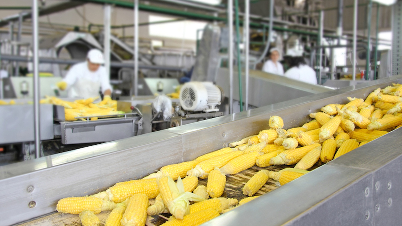 Food Processing Industry History
