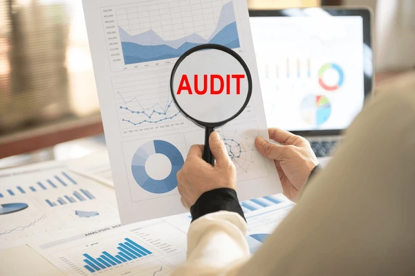 What is NGO Audit Report